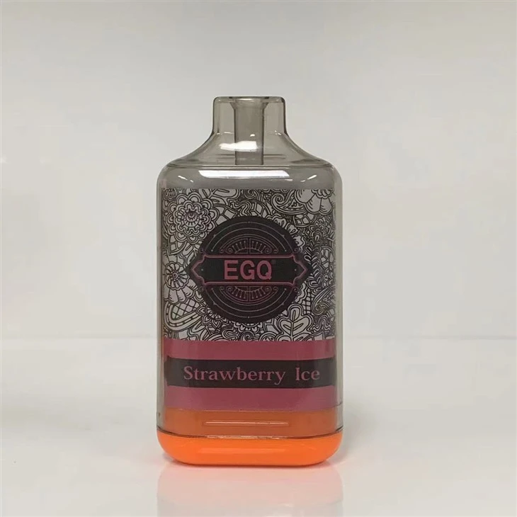 Disposable Vape 10000 Puffs Electronic Cigarette