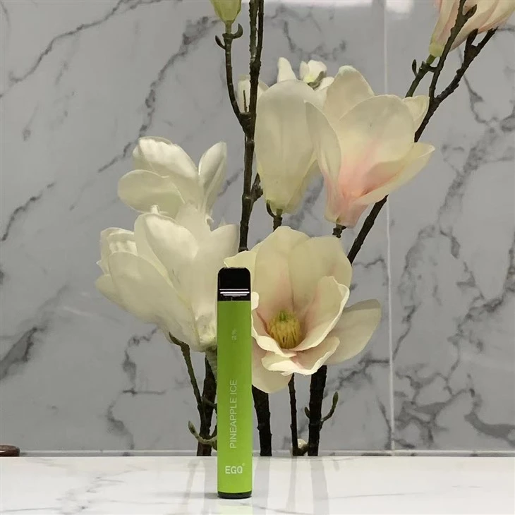 Vienreizējās lietošanas Vape E cigarešu