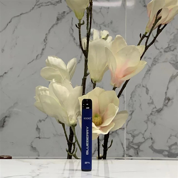 Light And Flavorful Portable E-Cigarette With 600 Puffs