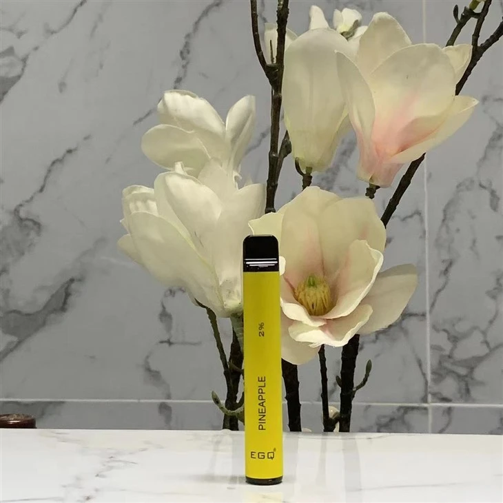 Popular Disposable Vape With 20000 Puffs