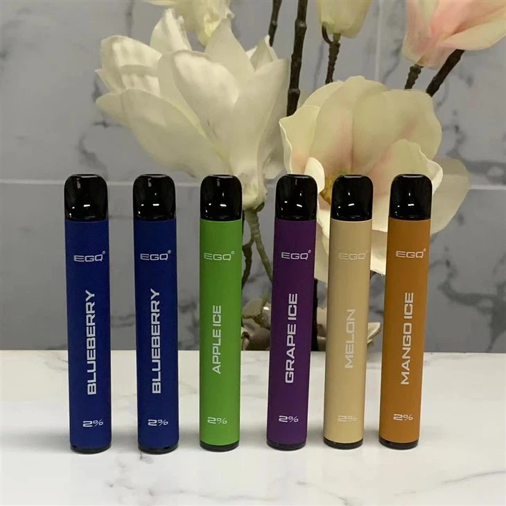 Trendy Disposable E-Cigarettes Vape With 600 Puffs